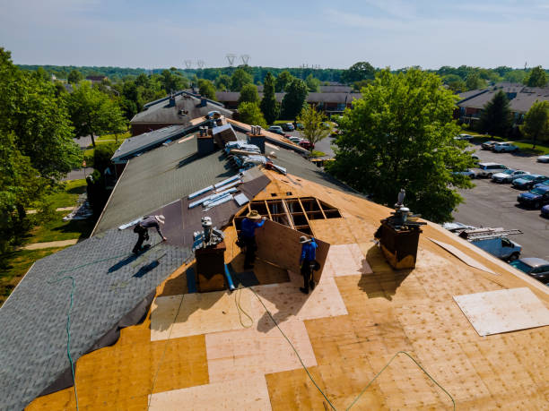 Trusted Storm Damage Roof Repair service in Townsville, NC - Brentwood Metal Roofing